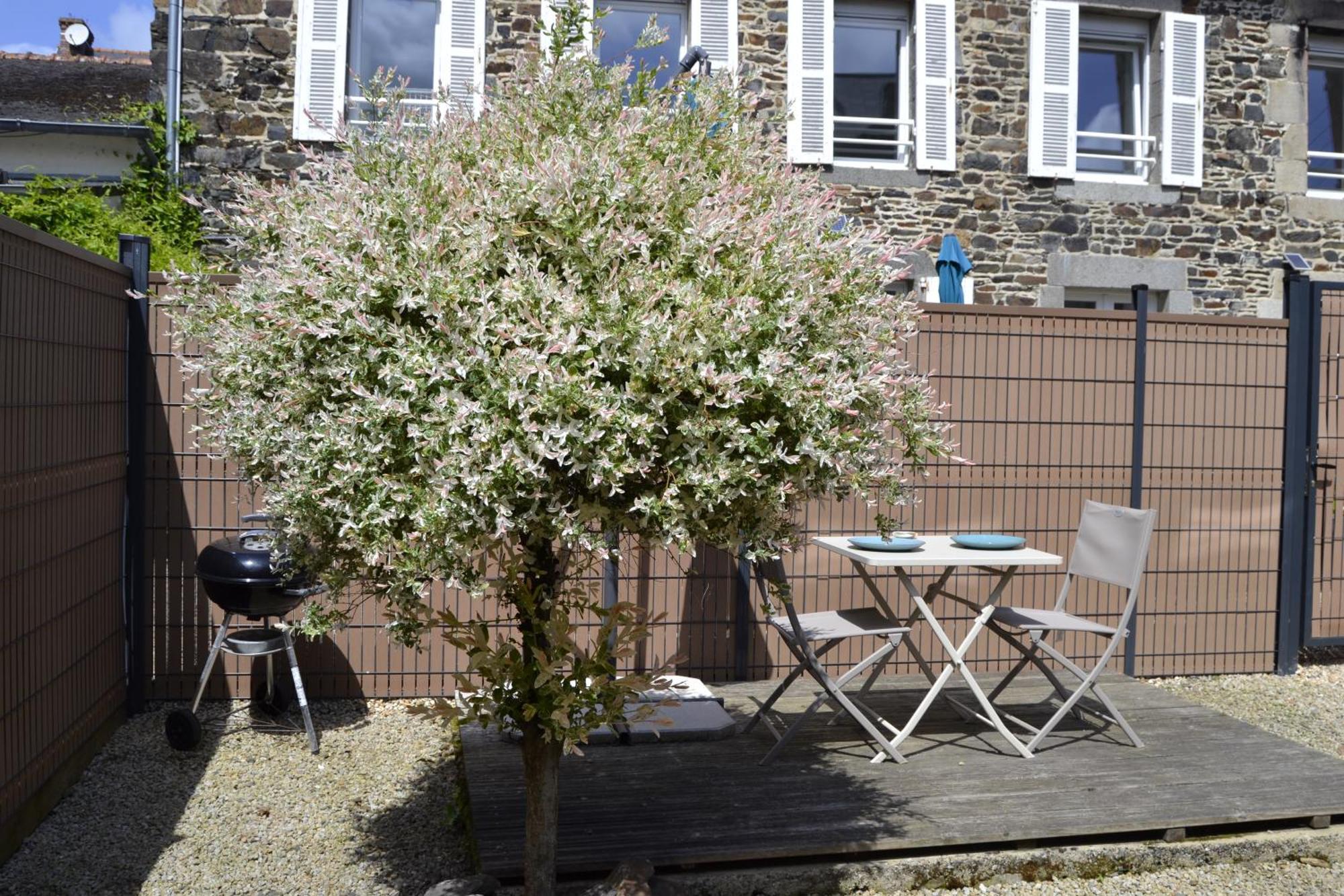 Charmante Petite Maison Proche Du Port, Maison 7 Binic Kültér fotó